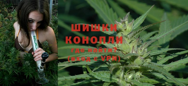 МДПВ Лиски