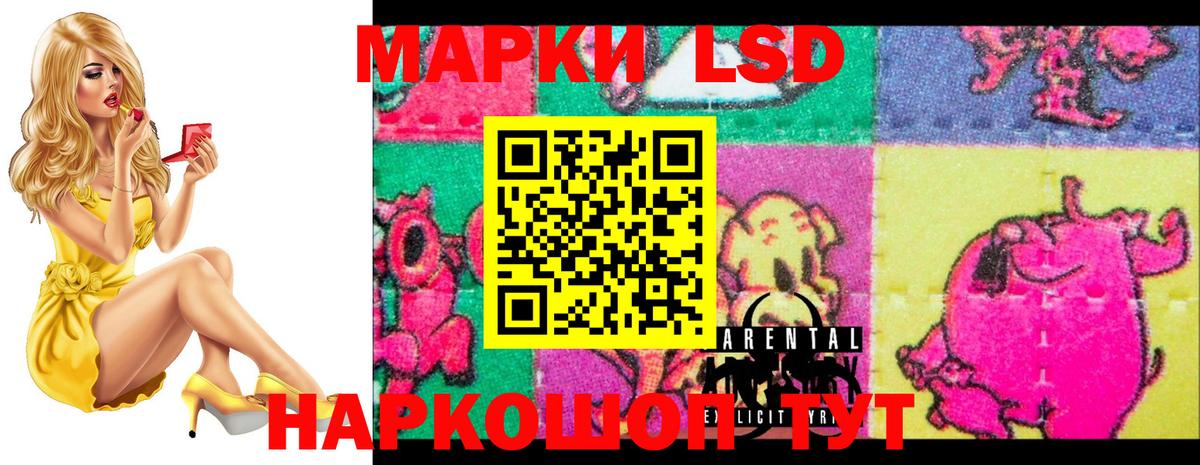 ЛСД экстази ecstasy  LSD-25 экстази ecstasy  Ставрополь  Вход с VPN 