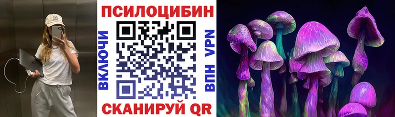 omg как войти  купить   Ставрополь  Псилоцибиновые грибы GOLDEN TEACHER 