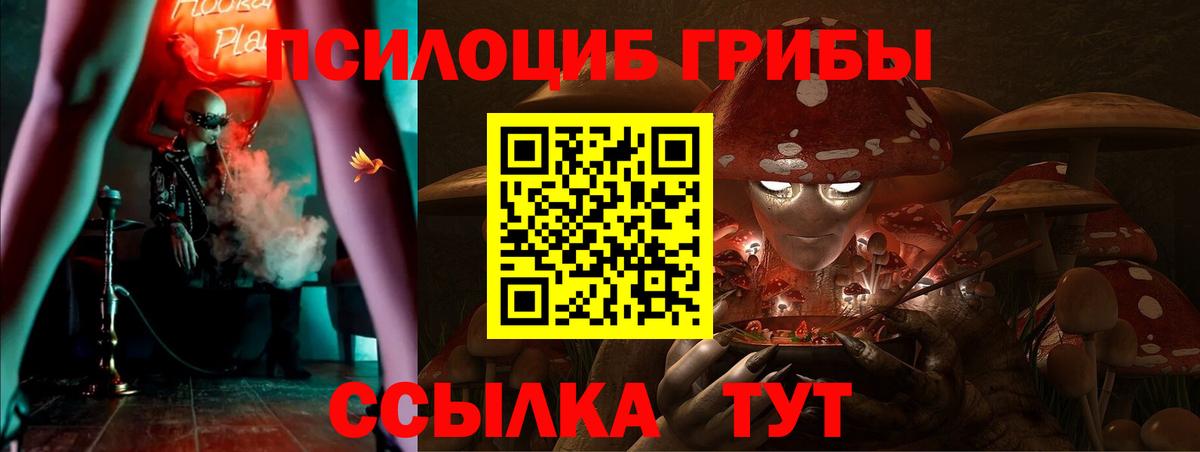 Псилоцибиновые грибы MAGIC MUSHROOMS  Вход с VPN  Ставрополь 