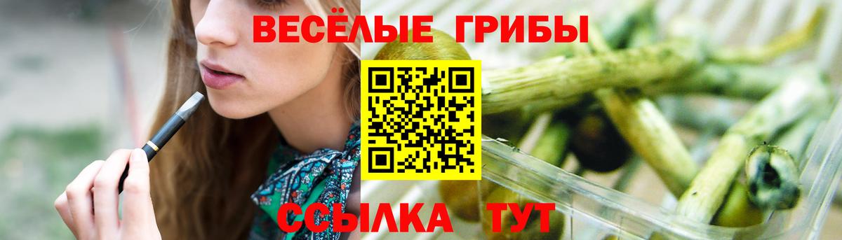 Псилоцибиновые грибы Cubensis Ставрополь